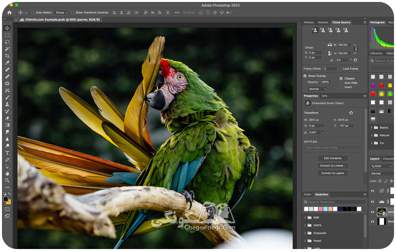 تفاوت میان Illustrator و Photoshop چیست؟