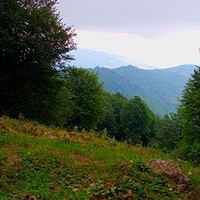 جنگل از بین بردن ده چشمه پرا در استان مازندران