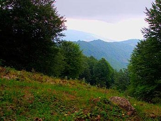 جنگل از بین بردن ده چشمه پرا در استان مازندران