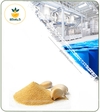 عصاره سیر خشک یا پودری