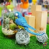 فیگور حیوانات ماکت طوطی ماکائو آبی طلایی 2594 Fiqure Parrot Macaw