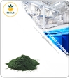 عصاره اسپیرولینا خشک یا پودری