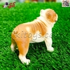 فیگور حیوانات سگ بولداگ کرم قهوه ای Pet Bulldog Dog Model Animal 677