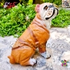 فیگور حیوانات ماکت سگ بولداگ اسباب بازی نرم و گوشتی بزرگ Bulldog dog figure﻿﻿ 770