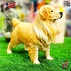 فیگور حیوانات ماکت سگ گلدن رتریور دو رنگ اسباب بازی Golden retriever 1160