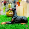 فیگور حیوانات ماکت سگ دوبرمن اسباب بازی 1479 Doberman fiqure