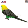 فیگور حیوانات مرغ عشق سبز اسباب بازی Budgerigar 1077