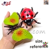 فیگور حیوانات و حشرات و خزندگان اسباب بازی 16 عددی MYSTICAL INSECTS 102A