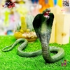 فیگور حیوانات ماکت مار شاه کبری اسباب بازی King cobra Snake Fiqure 1787