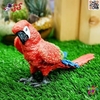 فیگور حیوانات ماکت طوطی ماکائو قرمز بال سبز 2595 Fiqure Parrot Macaw