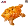 اسباب بازی عروسک لاک پشت پولیشی اورجینال Turtle Doll 15401