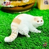 فیگور حیوانات ماکت گربه اسباب بازی Fiquer of cat 1548