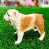 فیگور حیوانات سگ بولداگ کرم قهوه ای Pet Bulldog Dog Model Animal 677