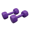 دمبل بدنسازی رادیس فیت وزن ۲.۵ کیلو گرم بسته دو عددی
