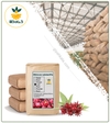 چای ترش خشک فله