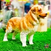 فیگور حیوانات ماکت سگ گلدن رتریور اسباب بازی Golden retriever 1321