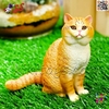 فیگور حیوانات ماکت گربه نشسته اسباب بازی Fiquer of cat 3132