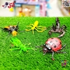 فیگور حیوانات و حشرات و خزندگان اسباب بازی 12 عددی INSECTS WORLD Q103C