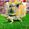 فیگور حیوانات ماکت تمساح اسباب بازی Crocodile figure 923