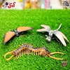 فیگور حیوانات و حشرات و خزندگان اسباب بازی 12 عددی INSECTS WORLD Q103C