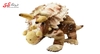 عروسک دایناسور تریسراتوپس مدل پولیشی Triceratops Dinosaur 15506