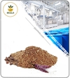 عصاره انجبار خشک یا پودری