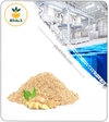 عصاره زنجبیل خشک یا پودری