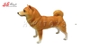 فیگور حیوانات ماکت سگ شیبا اینو اسباب بازی 971 Shiba Inu