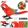 فیگور حیوانات ماکت طوطی ماکائو قرمز بال سبز 2595 Fiqure Parrot Macaw