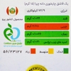 دانه چیا اورگانیک هاژه ۲۵۰ گرمی