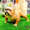 فیگور حیوانات ماکت سگ بولداگ اسباب بازی Bulldog Dog 1193