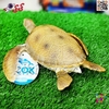 فیگور لاک پشت حیوانات دریایی اسباب بازی سیلیکونی نرم Sea Turtle