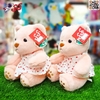 عروسک خرس صورتی لباس گلدار اسباب بازی Plush Teddy Bear doll 60099