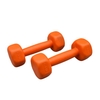 دمبل بدنسازی رادیس فیت وزن ۰.۵ کیلو گرم بسته دو عددی