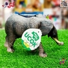 فیگور فیل جنگل و باغ وحش ANIMAL MODEL 006 – جنس نرم، طراحی واقعی، مناسب بازی و کلکسیون