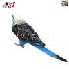 فیگور حیوانات مرغ عشق آبی اسباب بازی Budgerigar 1078