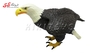 فیگور حیوانات ماکت عقاب بزرگ Figurine Eagle﻿﻿ 909