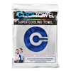 حوله خنک کننده ورزشی مدل Cooling Towel-80580