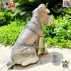 فیگور حیوانات ماکت سگ اشنایزر اسباب بازی نرم و گوشتی بزرگ Schnauzer dog figure﻿﻿ 768