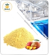 عصاره انبه خشک یا پودری