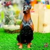 فیگور حیوانات ماکت سگ دوبرمن اسباب بازی 1477 Doberman fiqure