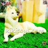 فیگور حیوانات ماکت سگ هاسکی سیبری اسباب بازی 2796 Siberian Husky fiqure