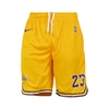 شلوارک ورزشی مردانه لیکرز مدل Nike-D6910 زرد