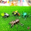 فیگور حیوانات و حشرات و خزندگان اسباب بازی 12 عددی INSECTS WORLD Q103C