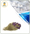 عصاره پنیرک خشک یا پودری