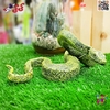 فیگور حیوانات ماکت مار افعی اسباب بازی Viper Snake Fiqure 1791