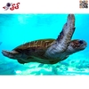 فیگور لاک پشت دریایی بزرگ نرم اسباب بازی Sea turtle  figure x070