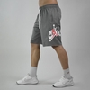 شلوارک ورزشی مردانه نایک جردن مدل Dri Fit-4296 طوسی تیره