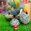 فیگور حیوانات ماکت توکانو اسباب بازی Turdus merula 1249