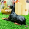 فیگور حیوانات ماکت سگ دوبرمن اسباب بازی 1479 Doberman fiqure